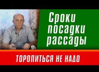 Когда сеять рассаду в 2022 году: календарь когда и что садить