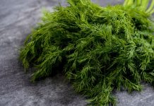 Укропная вода: натуральное средство с проверенной эффективностью