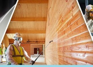 Как защититься от короедов? Как защититься от короедов?