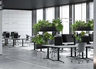 Озеленение пространства: преимущества, виды цветов и их особенности Озеленение пространства: преимущества, виды цветов и их особенности