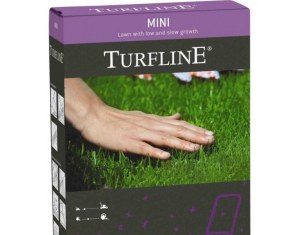 Зеленые Оазисы: Топ-5 Идеальных Газонов для Сада в Москве