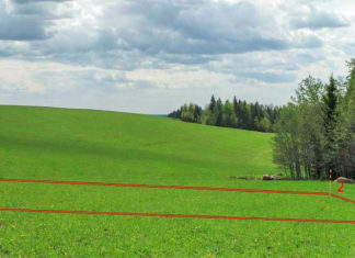 Земельный участок: что необходимо знать, как правильно приобрести, какой следует выбирать для строительства дома, форма и размер участка Земельный участок: что необходимо знать, как правильно приобрести, какой следует выбирать для строительства дома, форма и размер участка