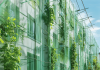 Использование фасадных сеток в строительстве и сельском хозяйстве