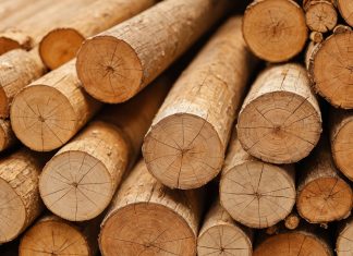 Пиломатериалы: виды, свойства и как сделать правильный выбор