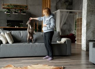 Перетаскивание мягкой мебели в домашних условиях