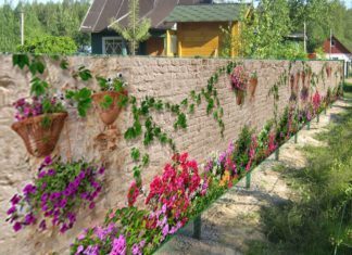 Забор: тип ограждений, винтовые гармошки, концертина, какой выбрать, что подойдет для защиты дома, квартиры, дачного участка, школы Забор: тип ограждений, винтовые гармошки, концертина, какой выбрать, что подойдет для защиты дома, квартиры, дачного участка, школы