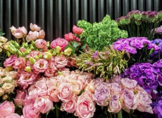 Где приобрести качественные цветы в Алматы: ассортимент, критерии выбора в соответствии с поводом преимущества Где приобрести качественные цветы в Алматы: ассортимент, критерии выбора в соответствии с поводом преимущества