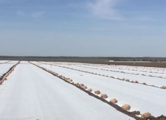 Для чего нужно агроволокно? Для чего нужно агроволокно?