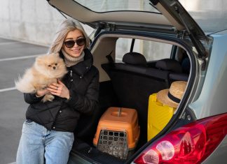 Почему при переезде в свой дом нужен автомобиль