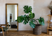 Зеркало в интерьере: функциональность, стиль и индивидуальный подход