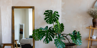 Зеркало в интерьере: функциональность, стиль и индивидуальный подход
