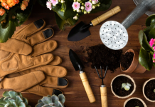 Товары для огорода: как выбрать инвентарь и материалы для эффективного ухода за участком