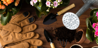Товары для огорода: как выбрать инвентарь и материалы для эффективного ухода за участком