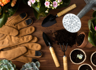 Товары для огорода: как выбрать инвентарь и материалы для эффективного ухода за участком