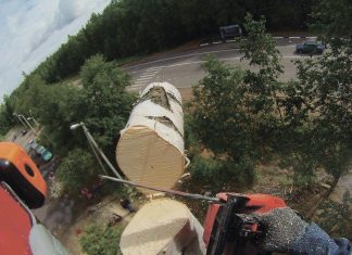 Удаление старых и аварийных деревьев