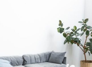 Полная трансформация: выбор пола для дома, который соответствует вашему стилю и образу жизни